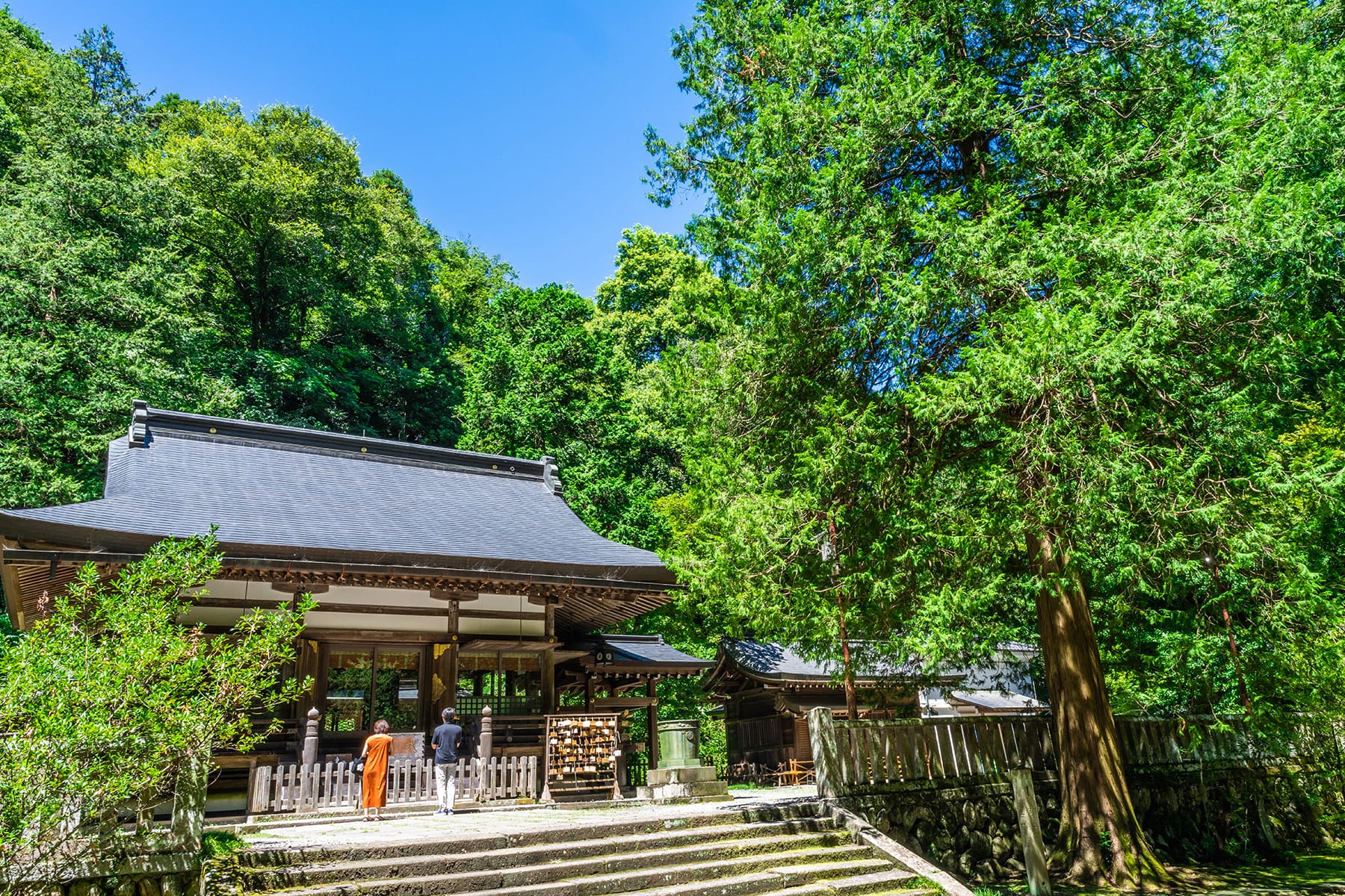 武蔵国と埼玉県 | フォトさいたま