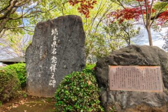 埼玉県名発祥の地