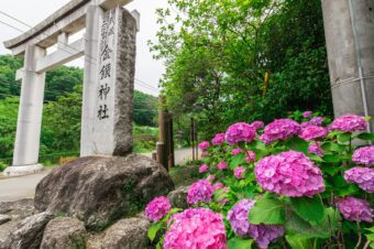 本殿のない金鑚神社