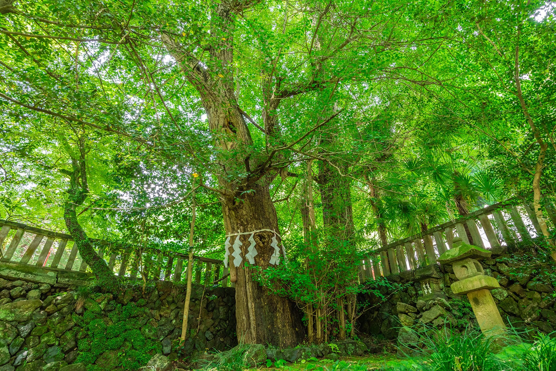 本殿のない金鑚神社【埼玉県児玉郡神川町】 | フォトさいたま