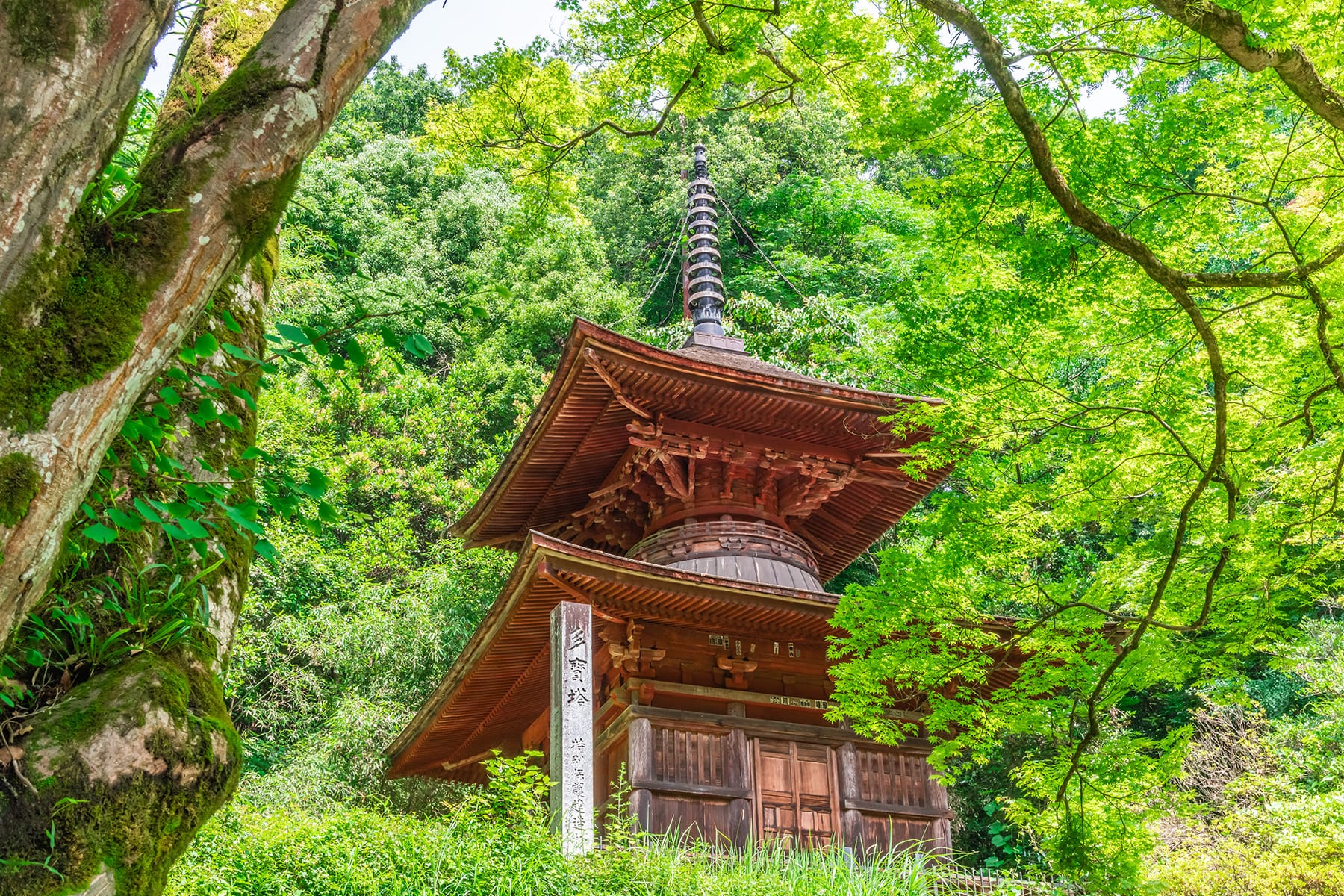 本殿のない金鑚神社【埼玉県児玉郡神川町】 | フォトさいたま