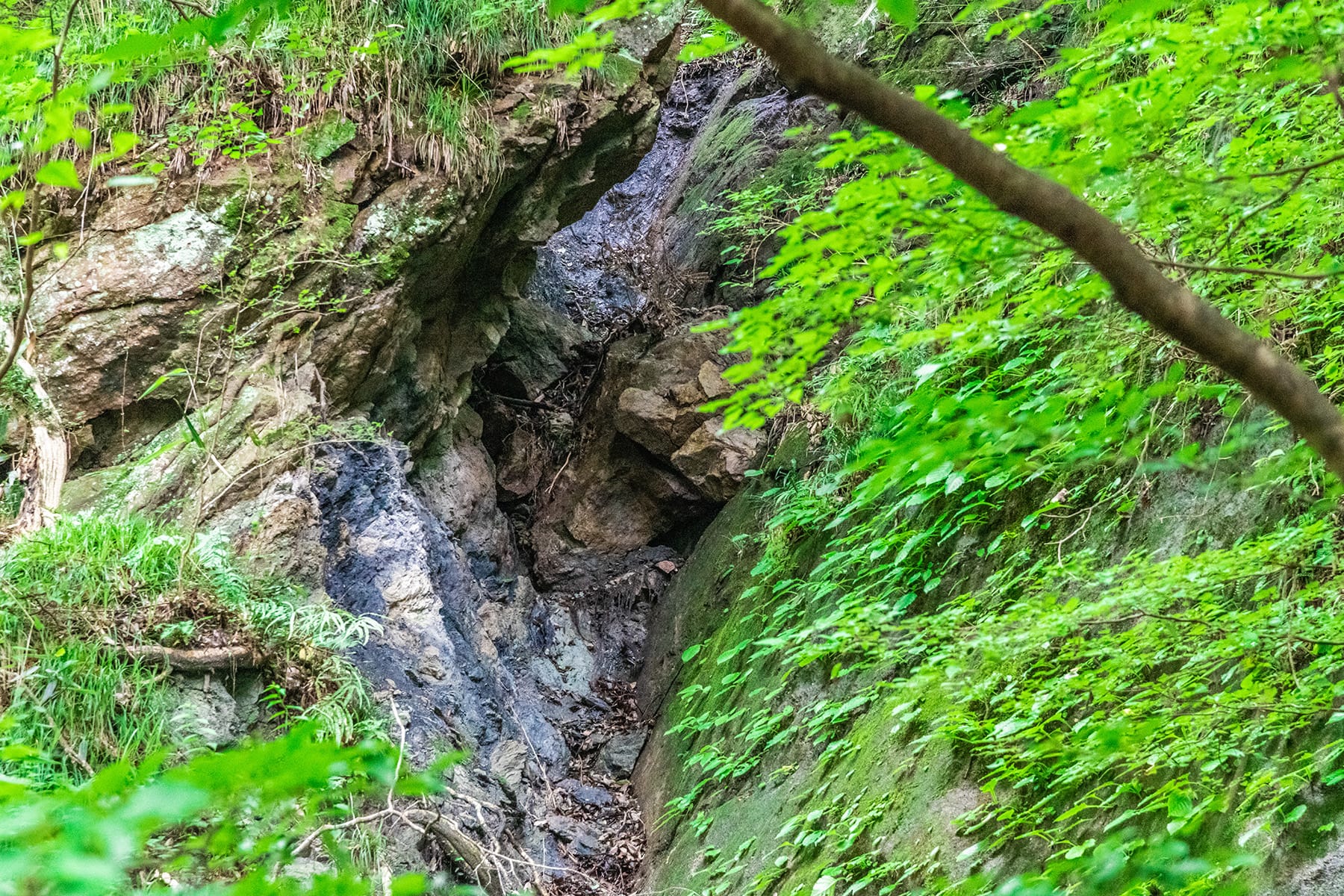 日本通貨発祥の地【和銅遺跡一帯（秩父市黒谷地区）】 | フォトさいたま