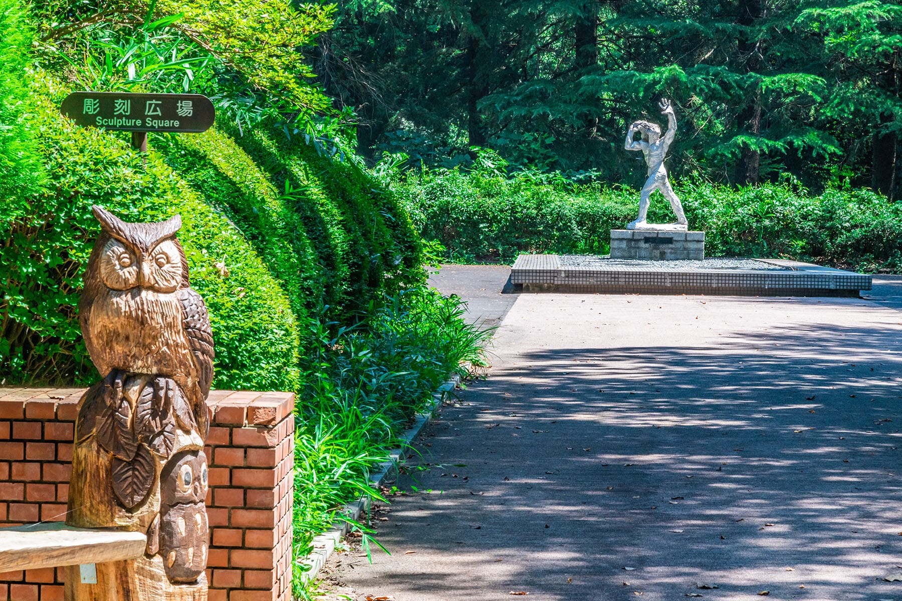 コリウス【武蔵丘陵森林公園｜埼玉県比企郡滑川町】 | フォトさいたま