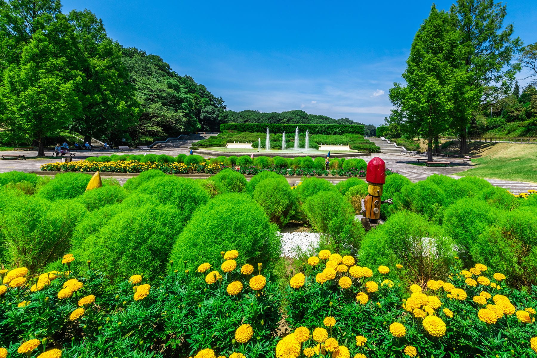 コリウス【武蔵丘陵森林公園｜埼玉県比企郡滑川町】 | フォトさいたま