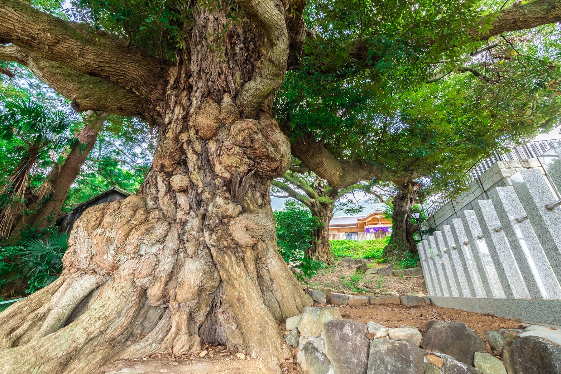 坂東札所　第２５番　【筑波山・大御堂】 | フォトさいたま