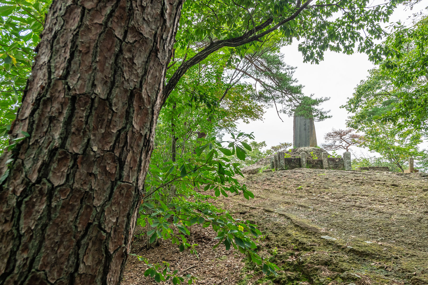 坂東札所　第１９番　【天開山・大谷寺】 | フォトさいたま