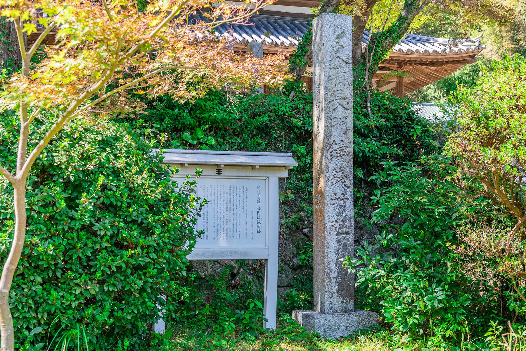 日本通貨発祥の地【和銅遺跡一帯（秩父市黒谷地区）】 | フォトさいたま