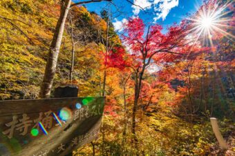 中津峡の紅葉