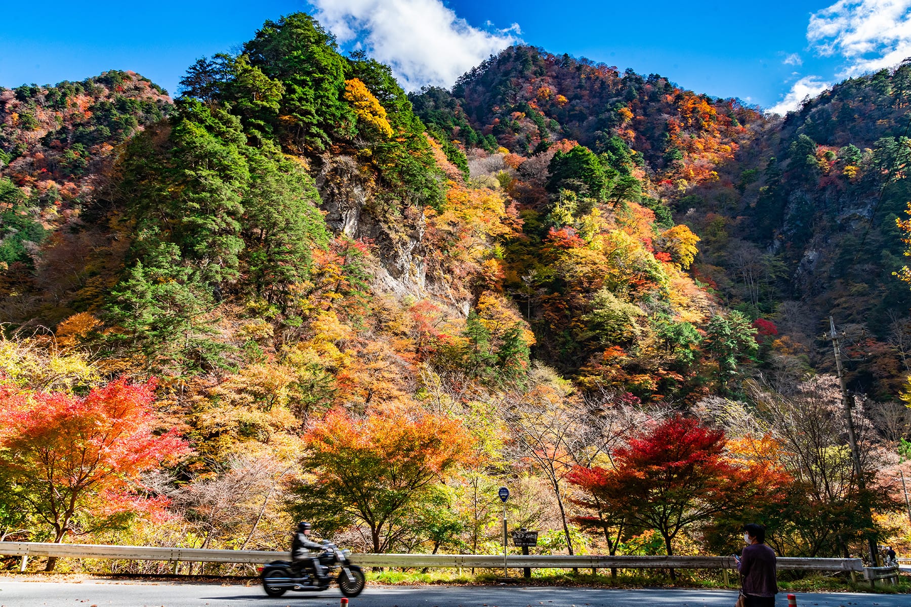 中津峡の紅葉【中津峡｜埼玉県秩父市】