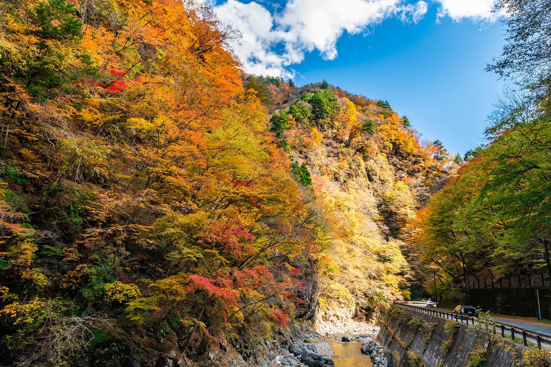 中津峡の紅葉【中津峡｜埼玉県秩父市】