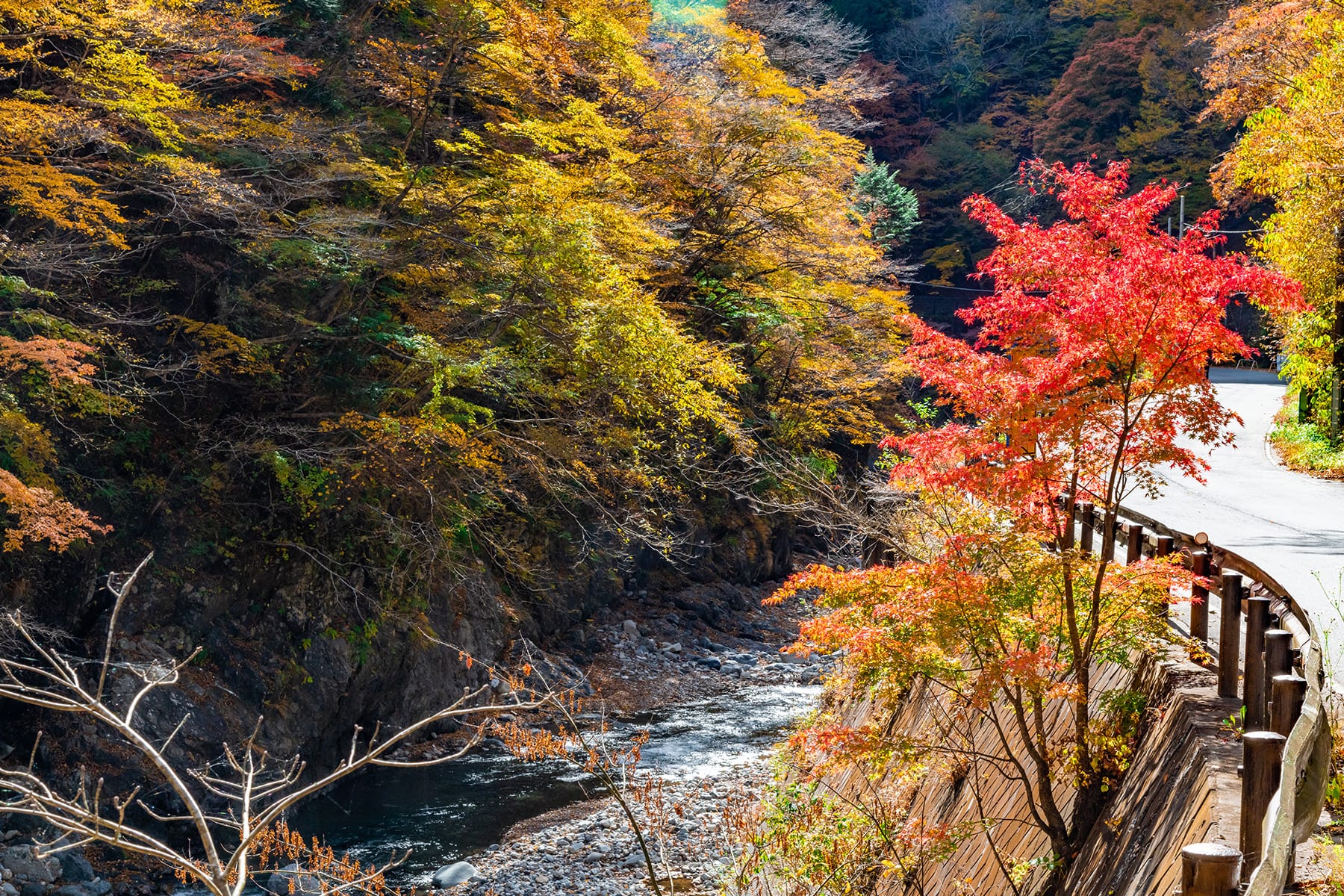 中津峡の紅葉【中津峡｜埼玉県秩父市】