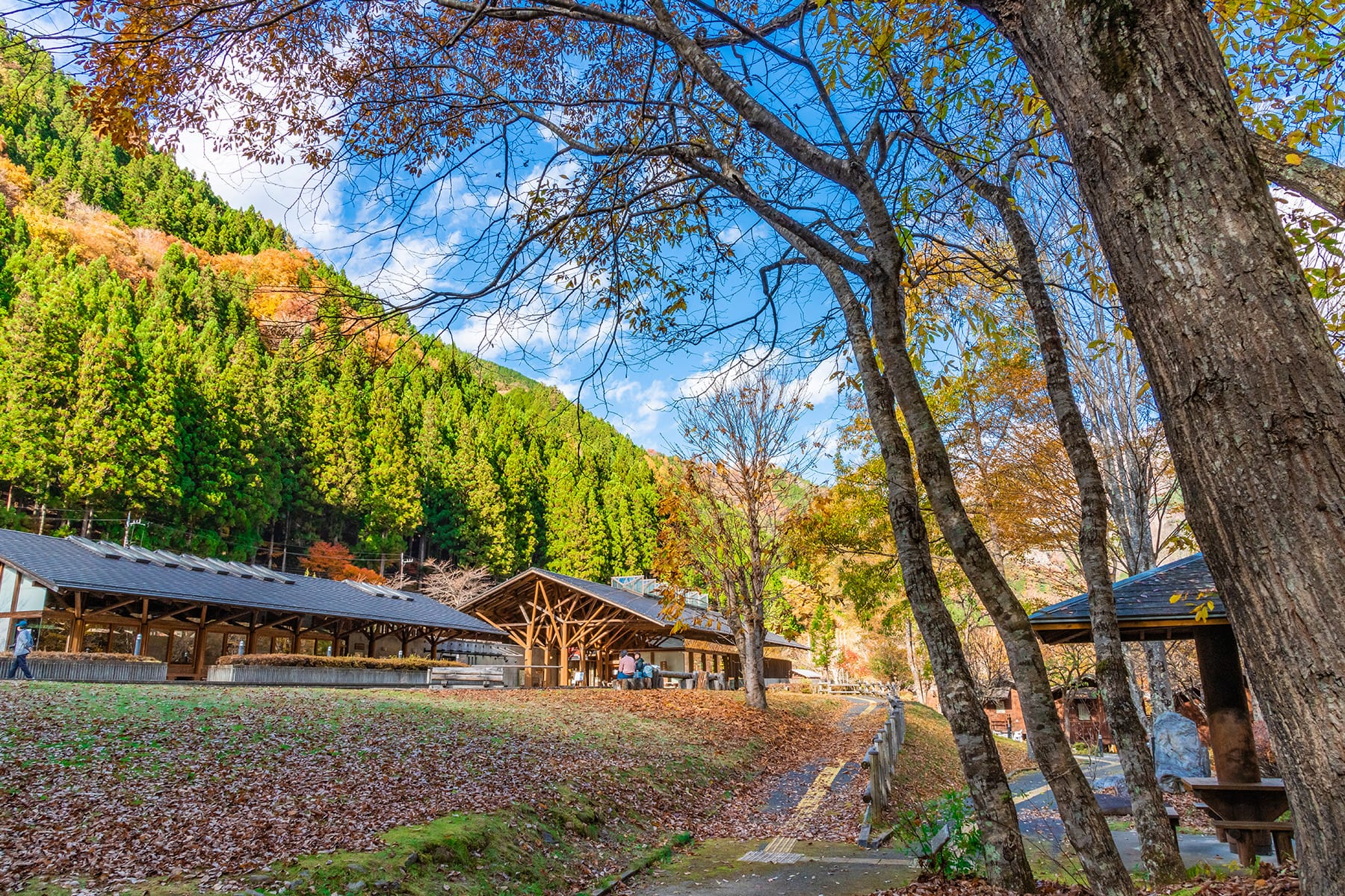 中津峡の紅葉【中津峡｜埼玉県秩父市】