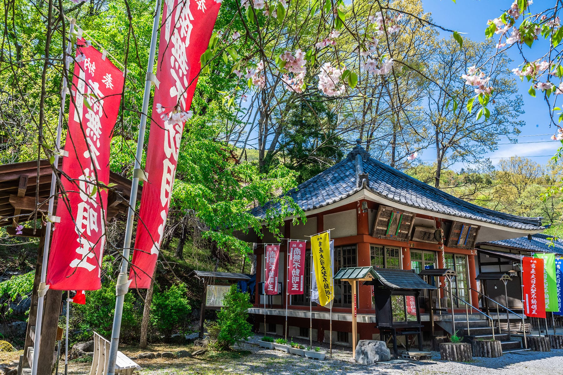 通り抜けの桜 【長瀞山 不動寺｜埼玉県秩父郡長瀞町】| フォトさいたま