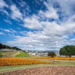 マリーゴールドの丘公園 【 埼玉県本庄市】| フォトさいたま