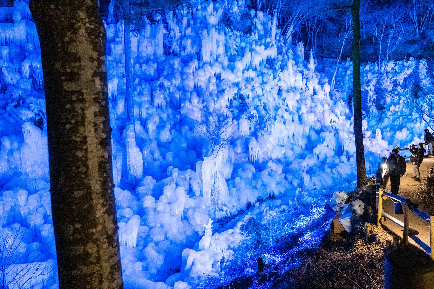 あしがくぼの氷柱 【埼玉県秩父郡横瀬町】| フォトさいたま