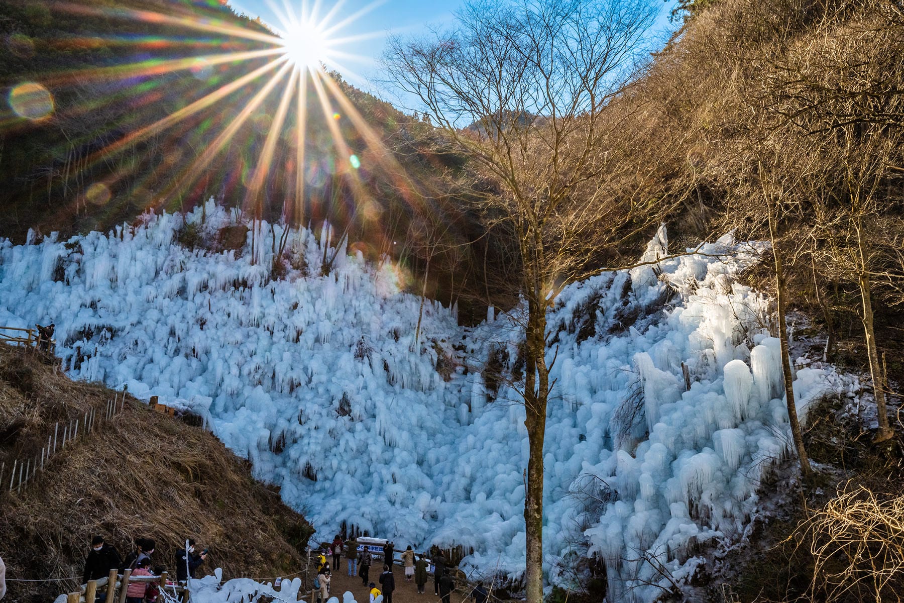 あしがくぼの氷柱 【埼玉県秩父郡横瀬町】| フォトさいたま