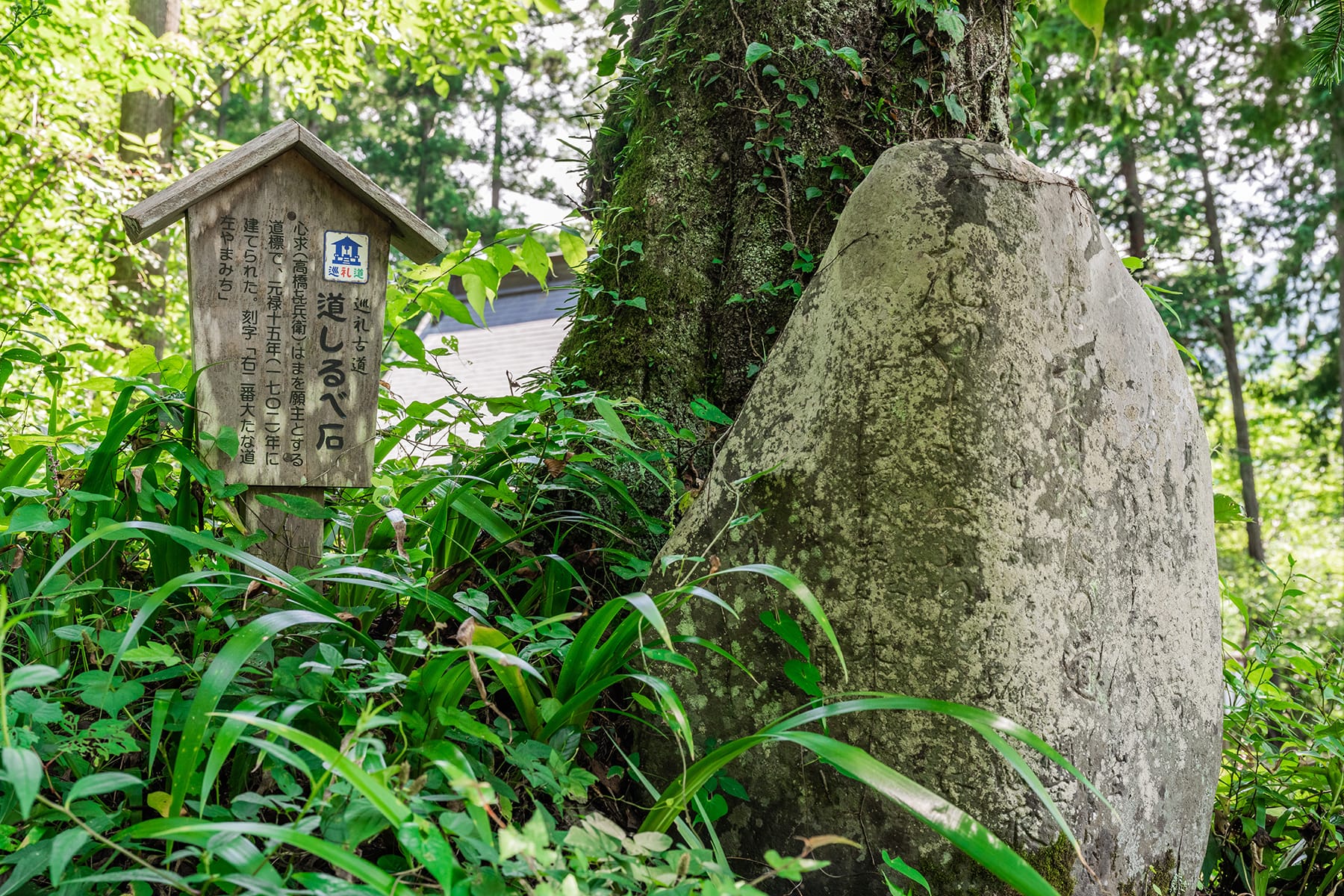 秩父札所 第２番【大棚山・真福寺】 | フォトさいたま