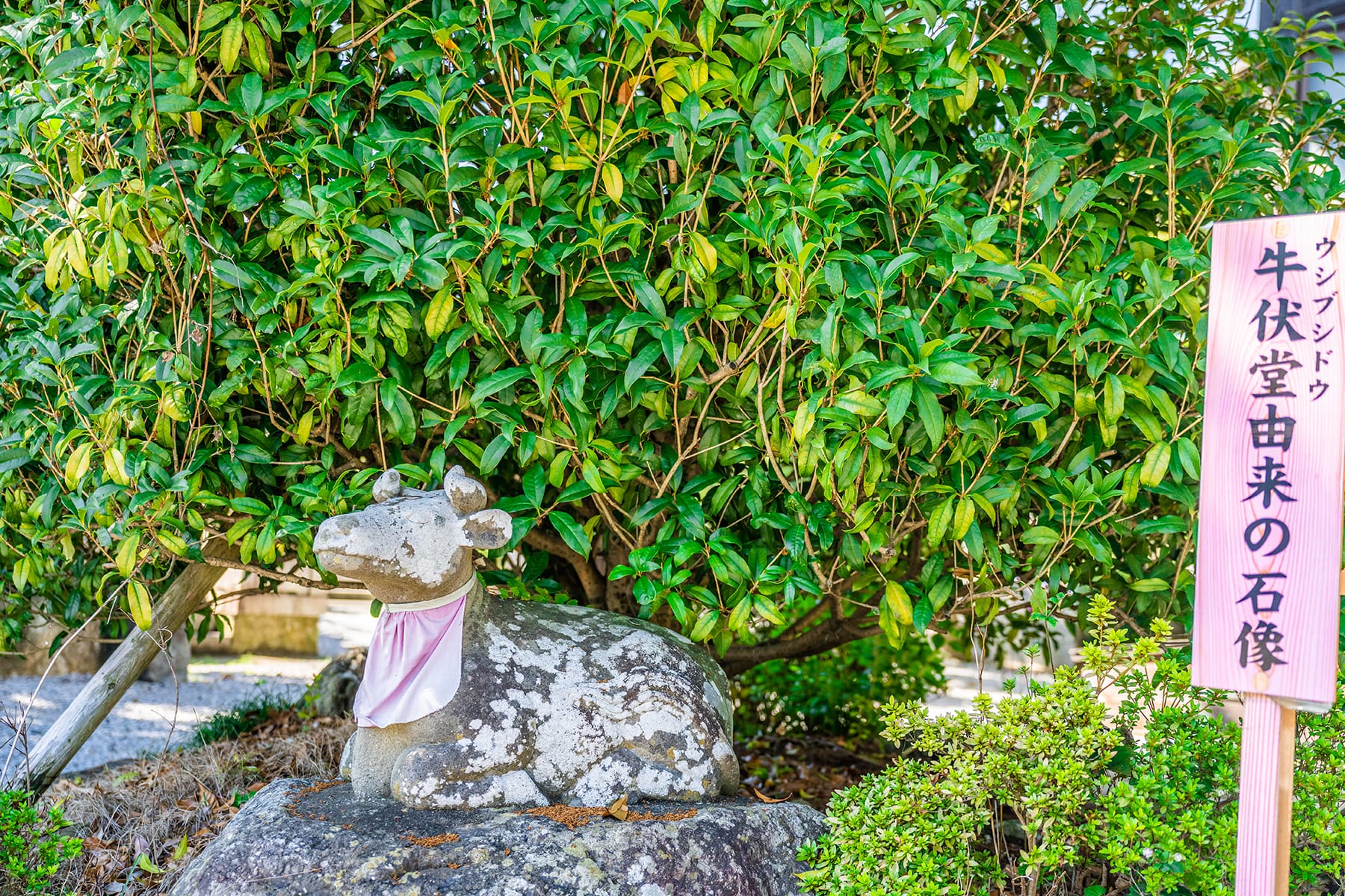 秩父札所 第７番【青苔山・法長寺】 | フォトさいたま