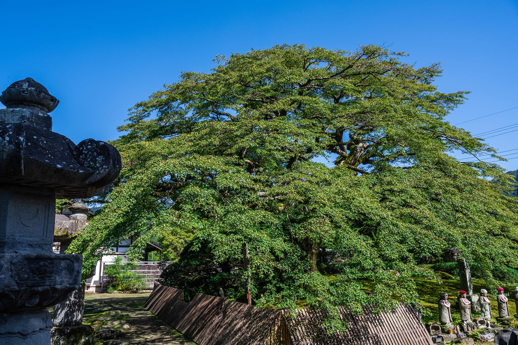 秩父札所 第８番【清泰山・西善寺】 | フォトさいたま