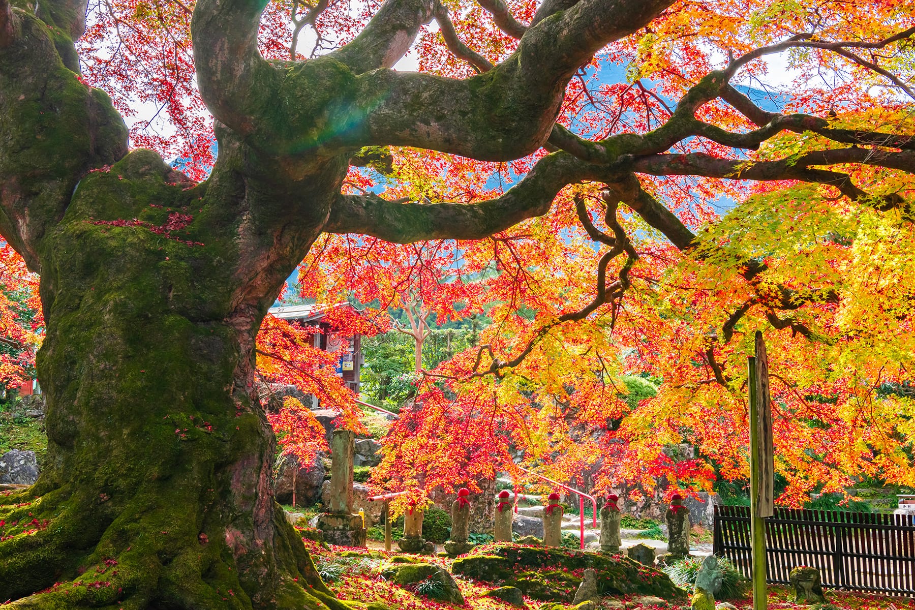 秩父札所 第８番【清泰山・西善寺】 | フォトさいたま