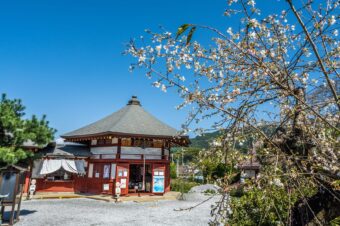 秩父札所第９番　明智寺