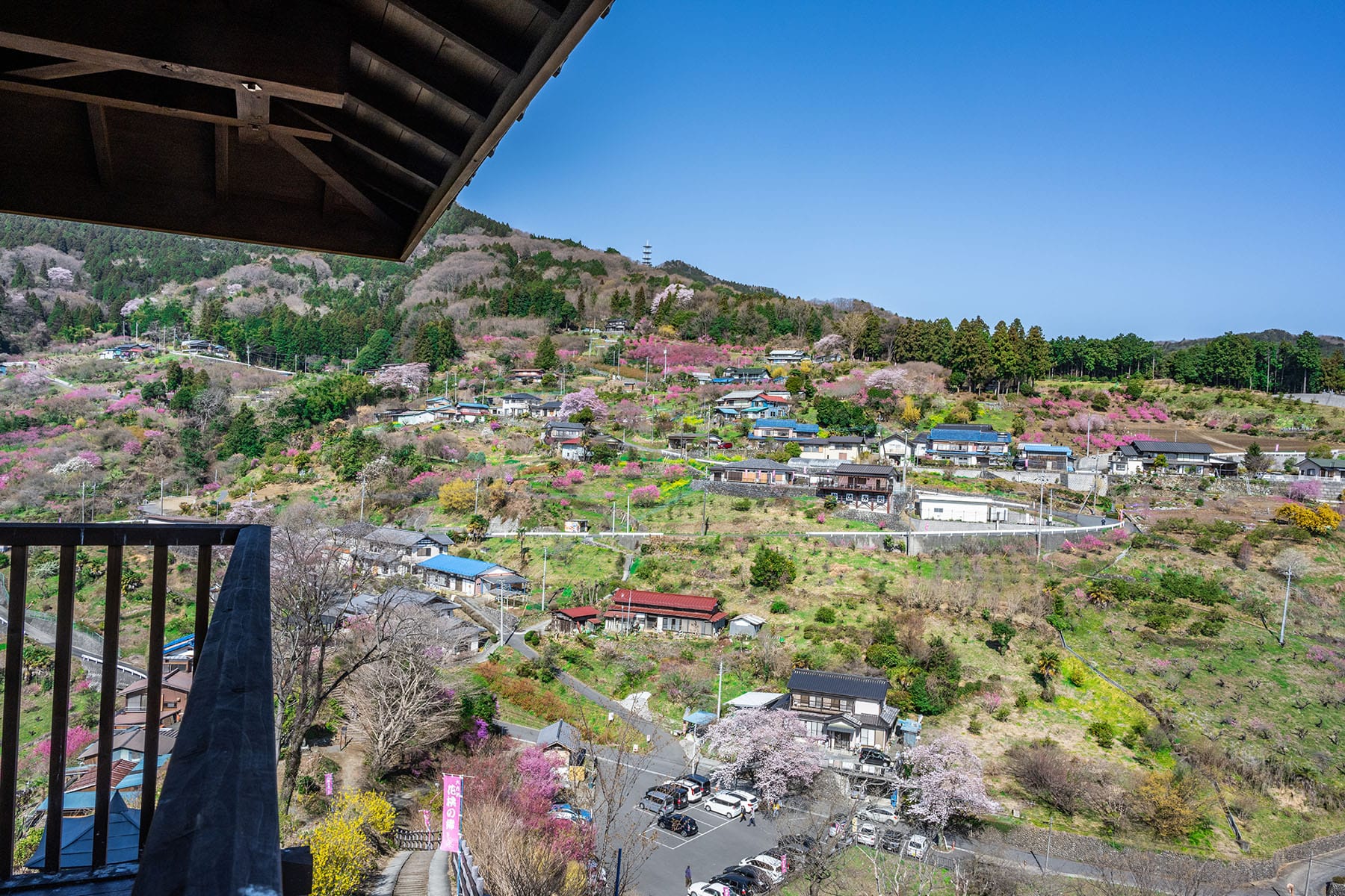 大内沢 花桃の郷 【埼玉県東秩父村】 | フォトさいたま