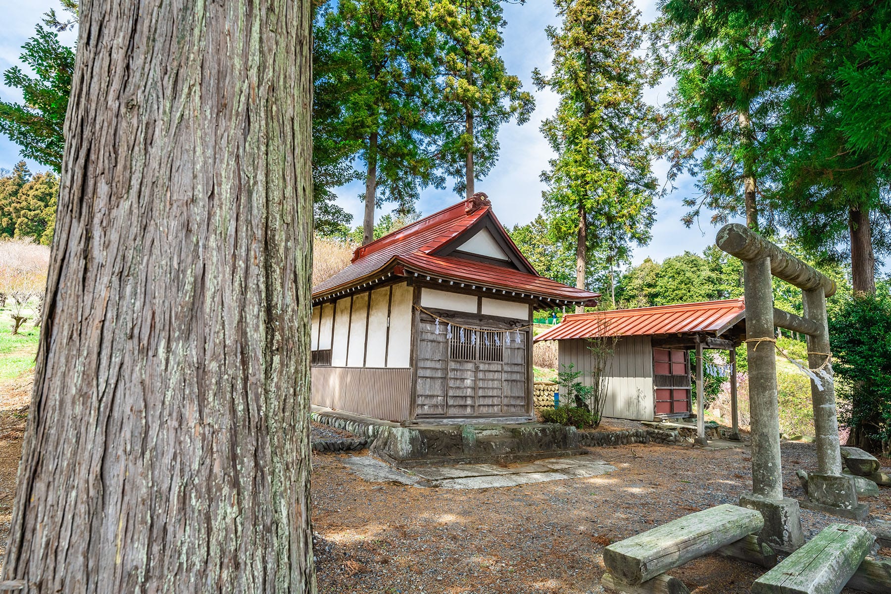 大内沢 花桃の郷 【埼玉県東秩父村】 | フォトさいたま