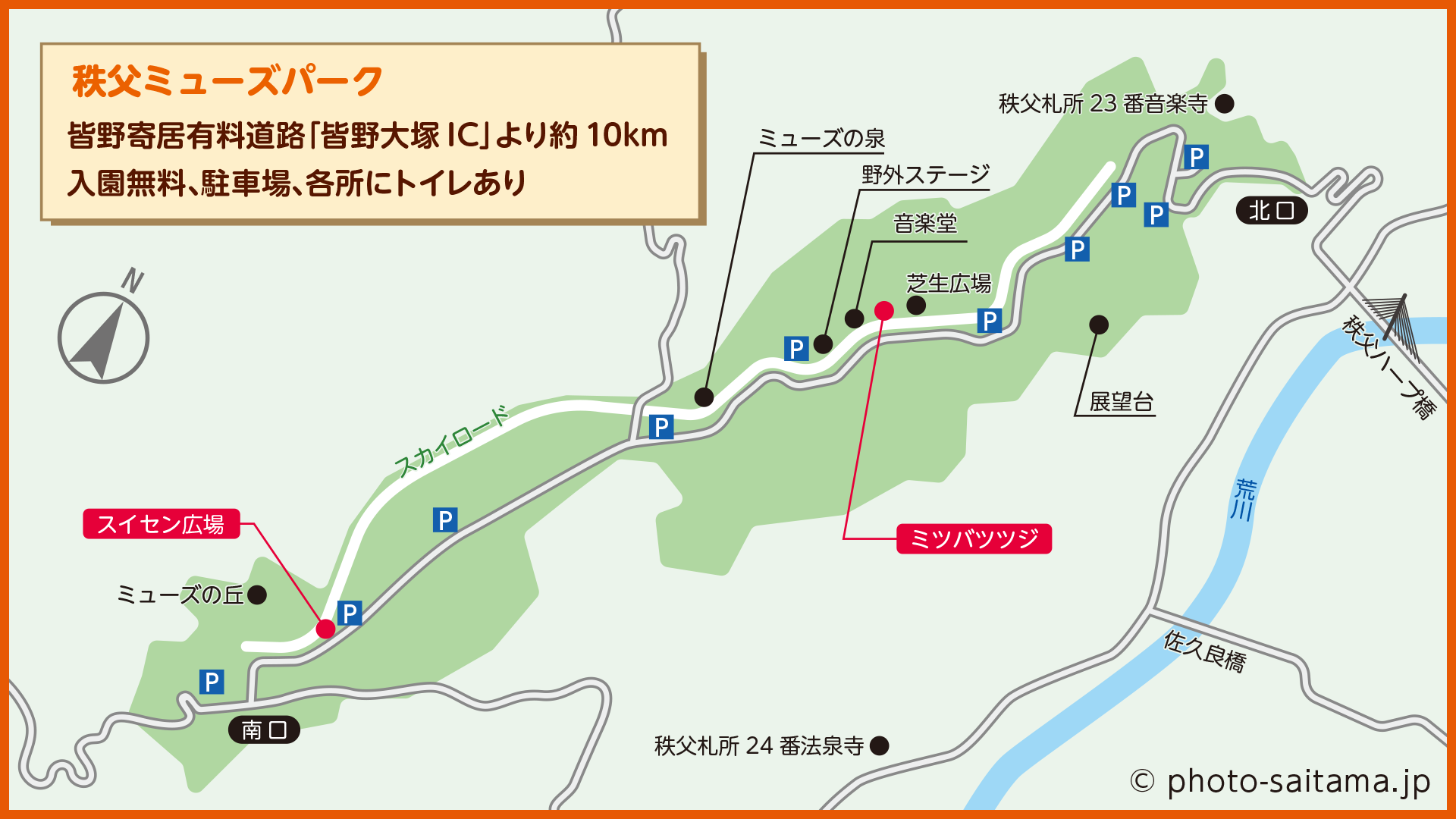 秩父ミューズパークのスイセン 【埼玉県秩父郡小鹿野町】| フォトさいたま