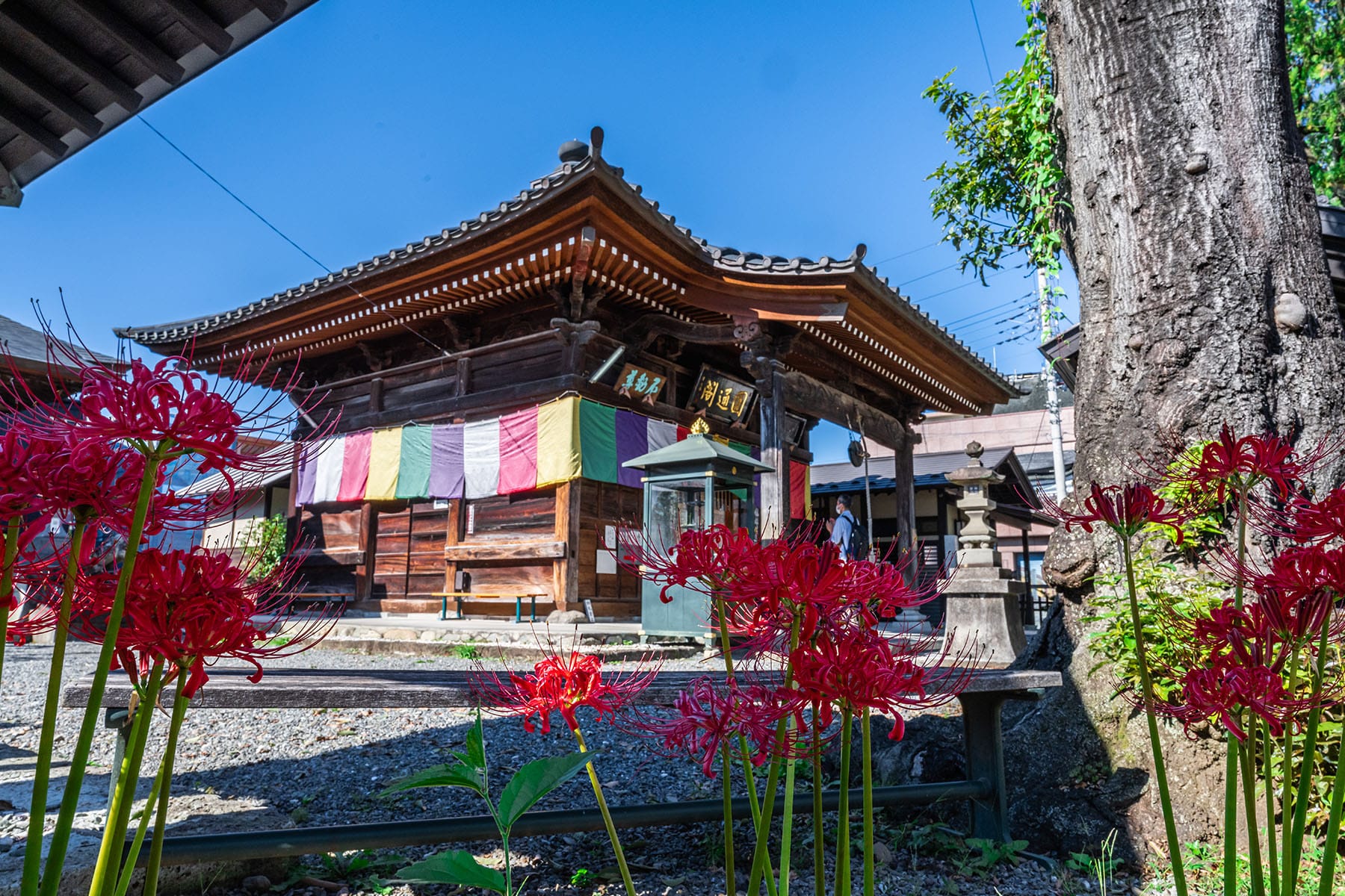 秩父札所 第１４番【長岳山・今宮坊】 | フォトさいたま