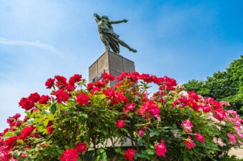 与野公園ばらまつり