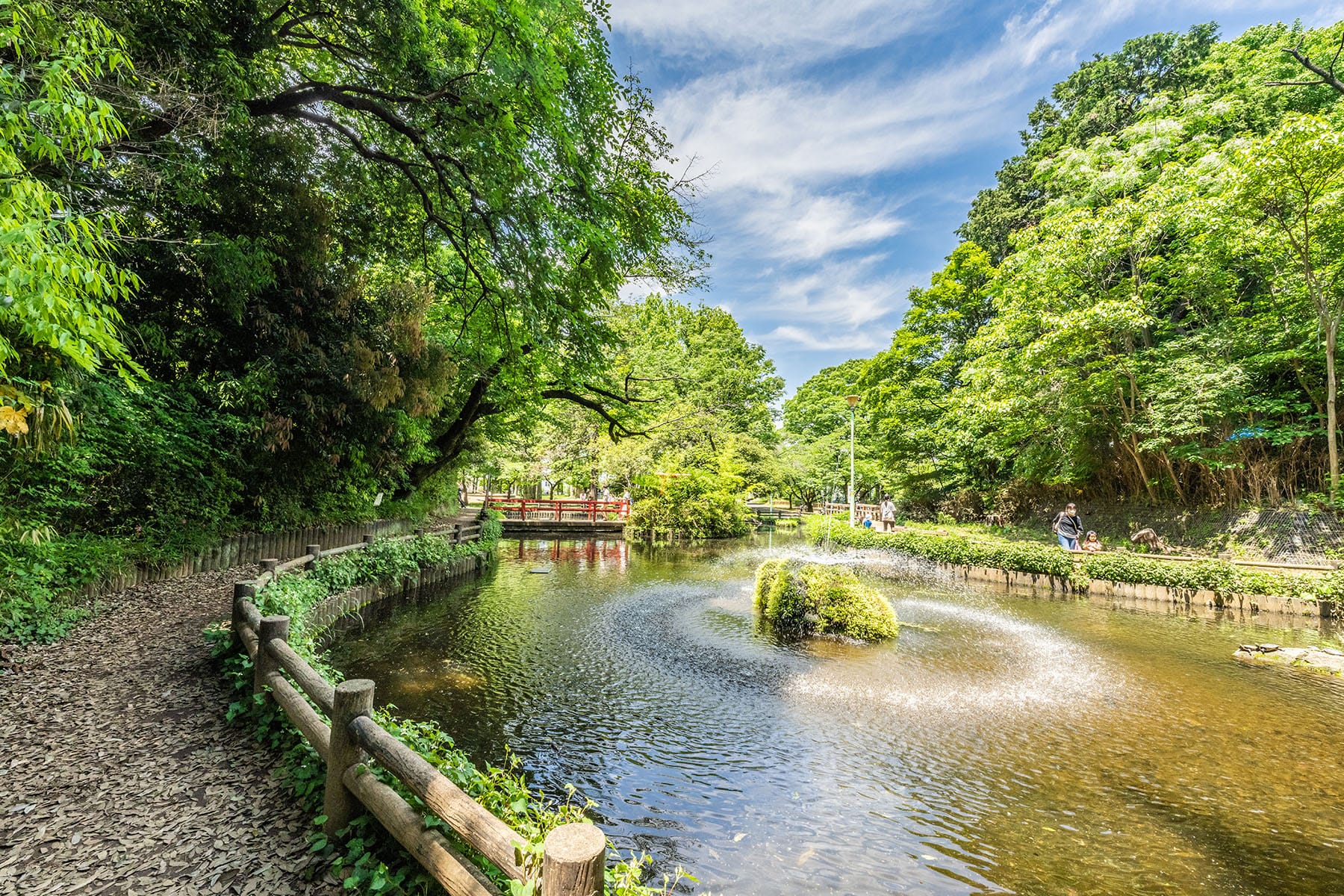 与野公園ばらまつり【与野公園・バラ園｜埼玉県さいたま市中央区】 | フォトさいたま