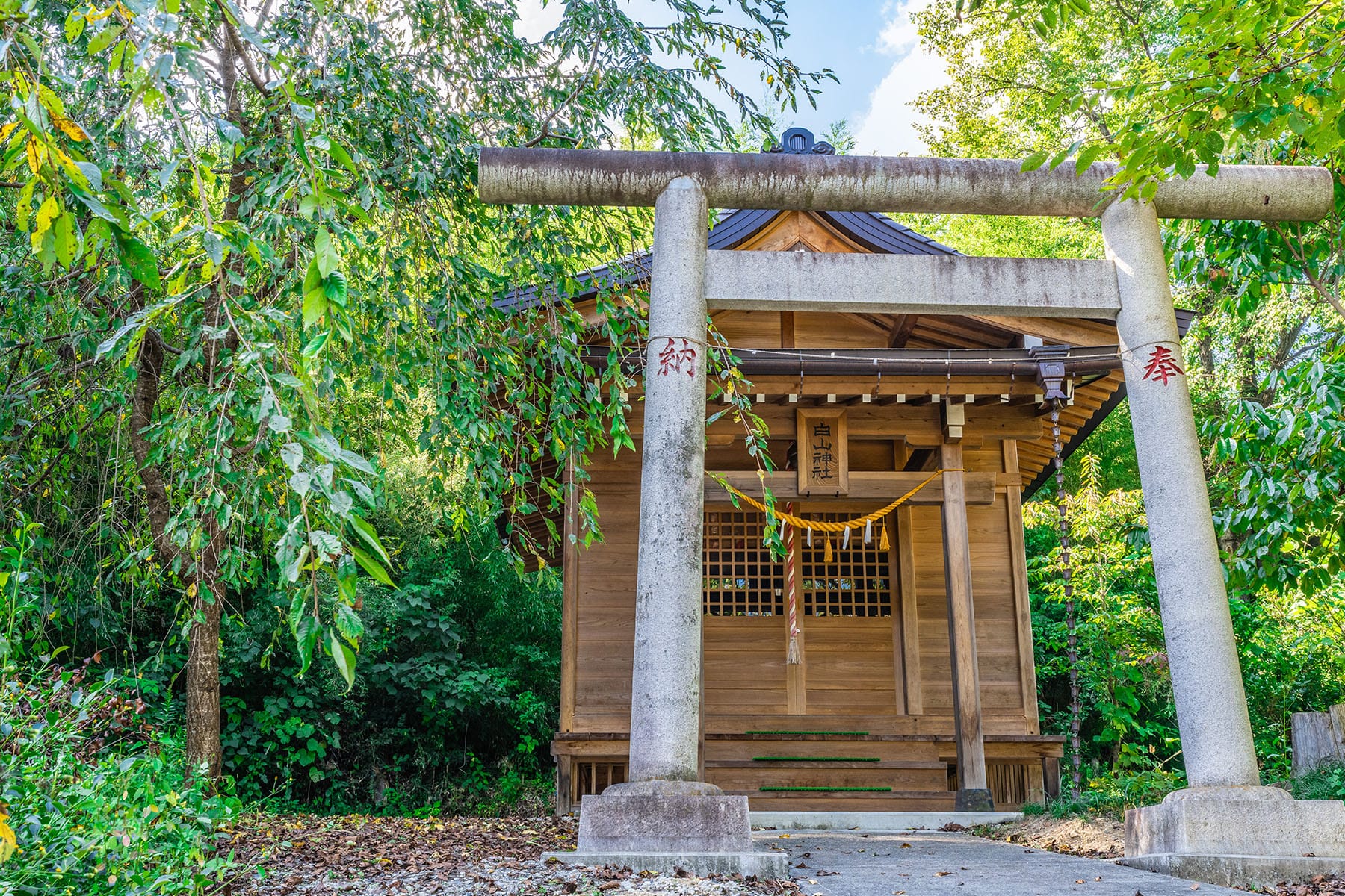 秩父札所 第２４番【光智山・法泉寺】 | フォトさいたま