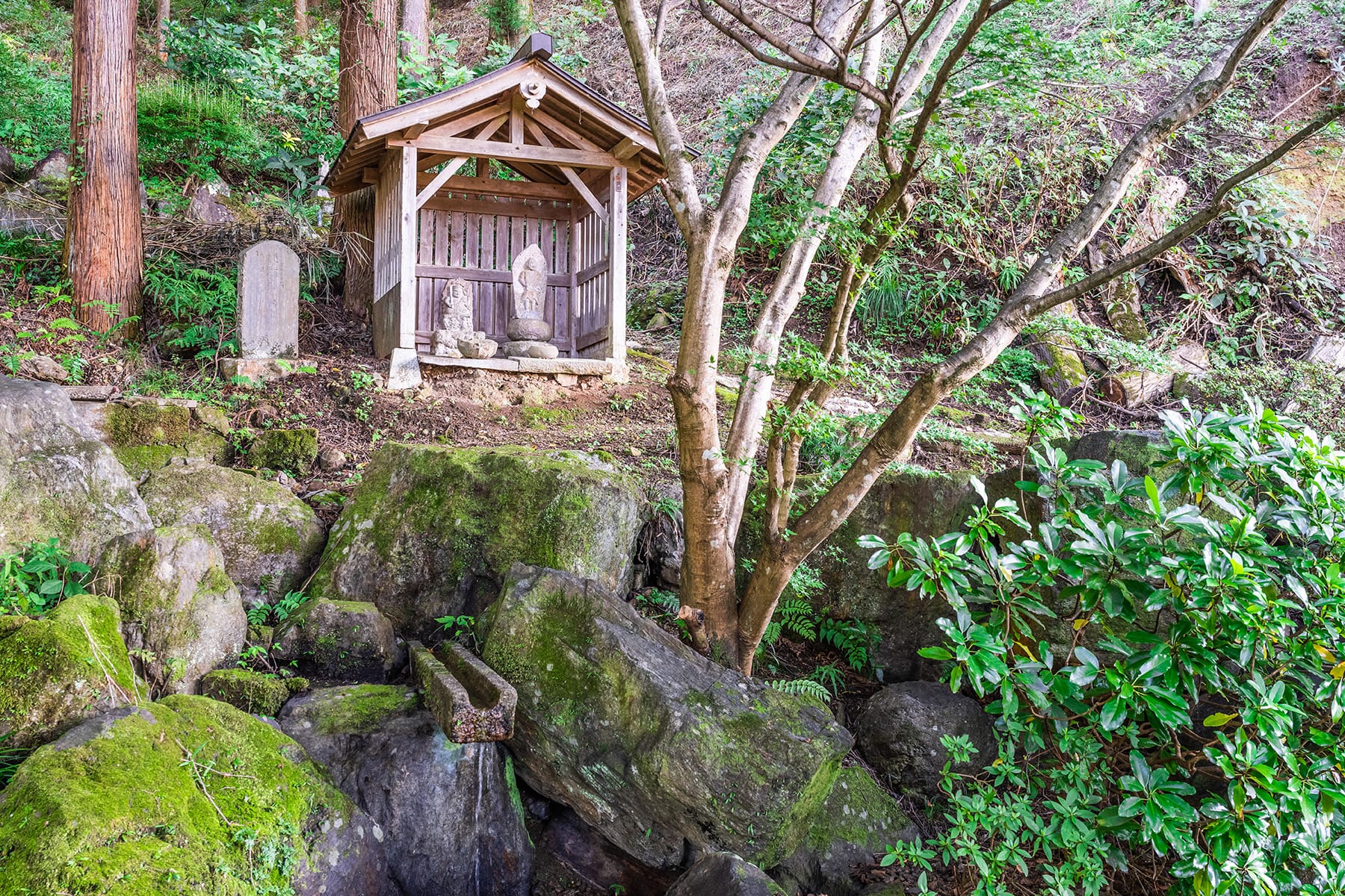 秩父札所 第２７番【龍河山・大渕寺】 | フォトさいたま