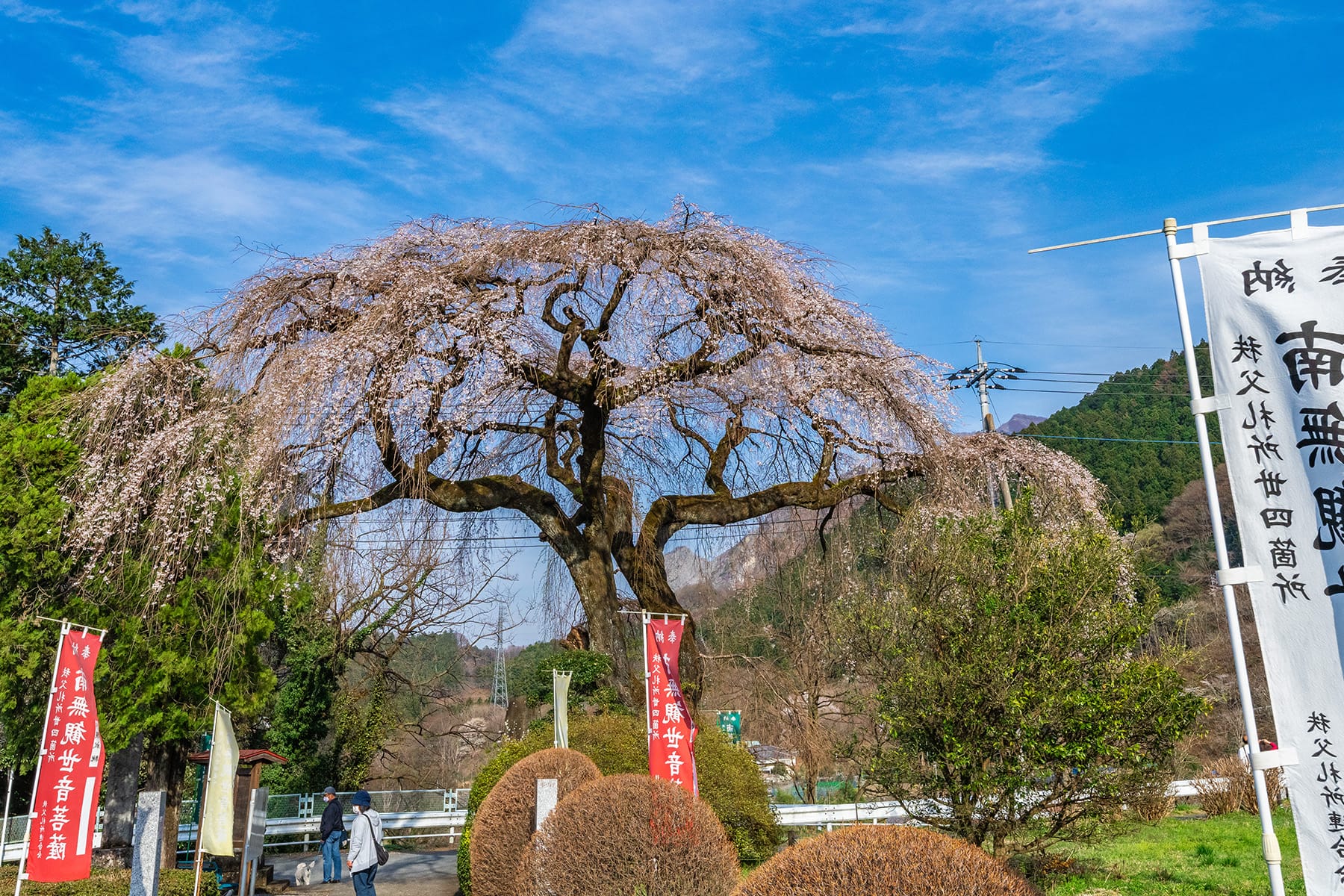 秩父札所 第２９番【笹戸山・長泉院】 | フォトさいたま