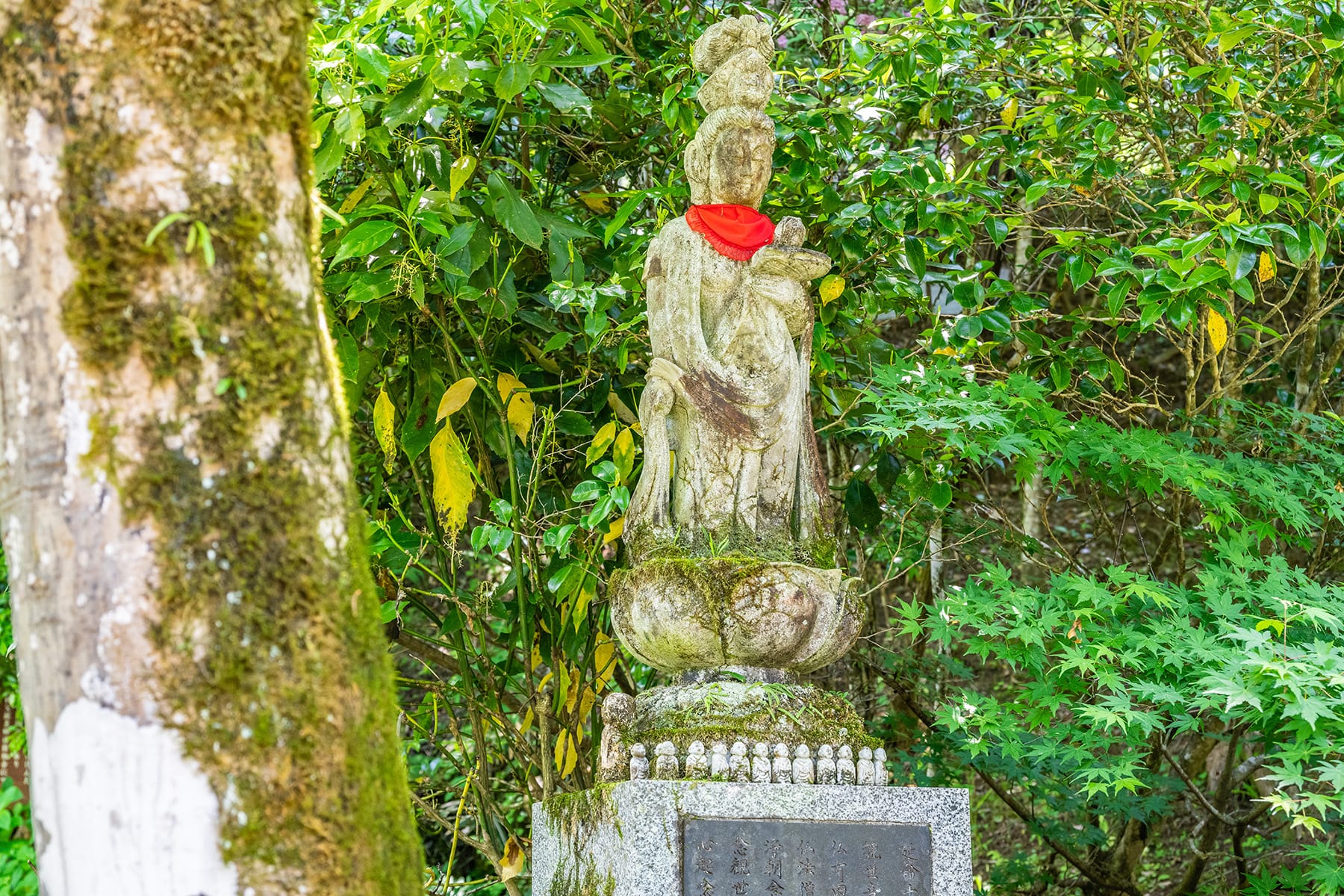 秩父札所 第３０番【瑞龍山・法雲寺】 | フォトさいたま