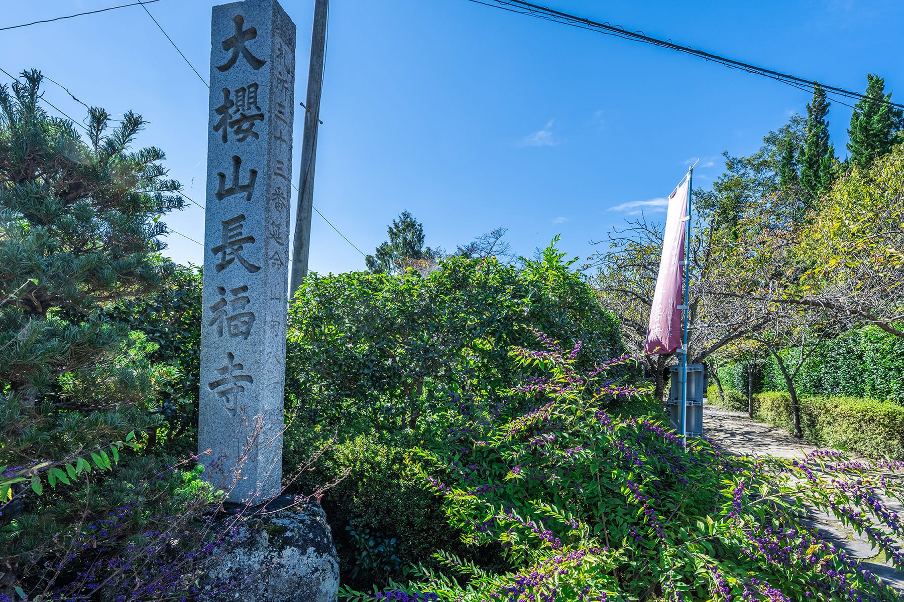 購入 鈴 秩父 菊水寺 根付け 昭和