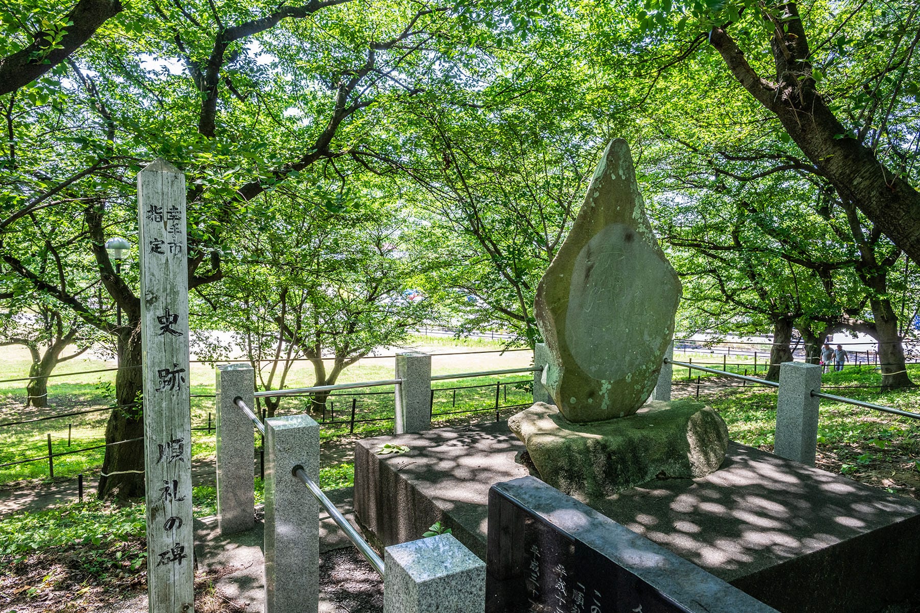 幸手権現堂あじさいまつり 【県営権現堂公園（幸手権現堂桜堤）｜埼玉県幸手市】 | フォトさいたま