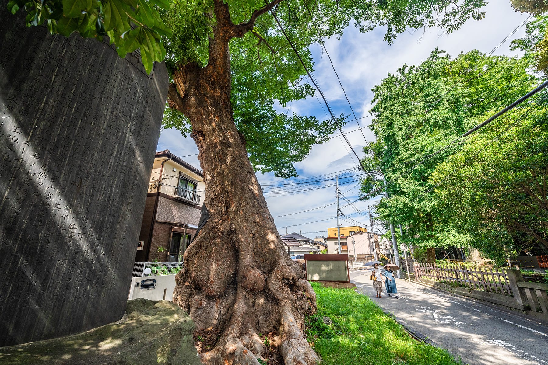 鳥居の無い調神社【埼玉県さいたま市】 | フォトさいたま