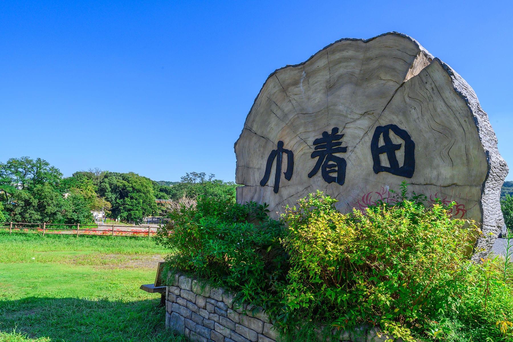 巾着田の曼珠沙華 【巾着田の曼珠沙華｜埼玉県日高市】| フォトさいたま