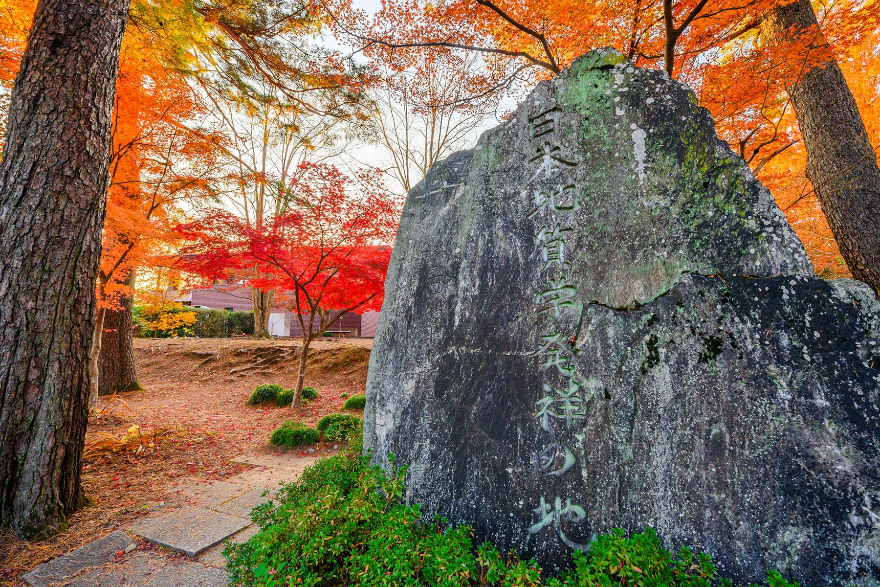 長瀞紅葉まつり【埼玉県秩父郡長瀞町】| フォトさいたま