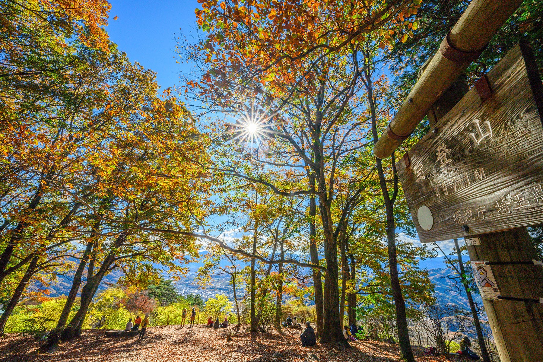 長瀞紅葉まつり【埼玉県秩父郡長瀞町】| フォトさいたま