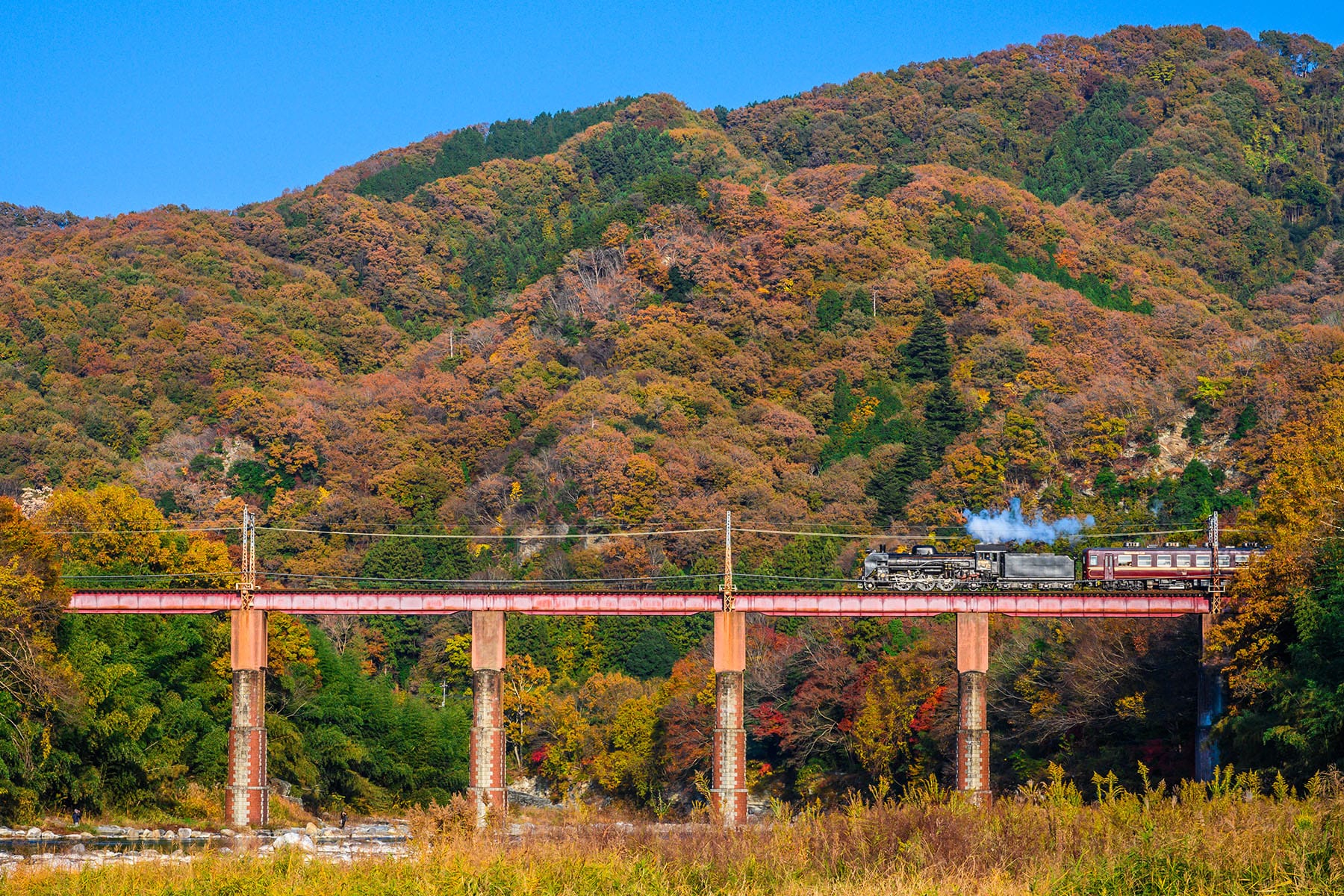 長瀞紅葉まつり【埼玉県秩父郡長瀞町】| フォトさいたま