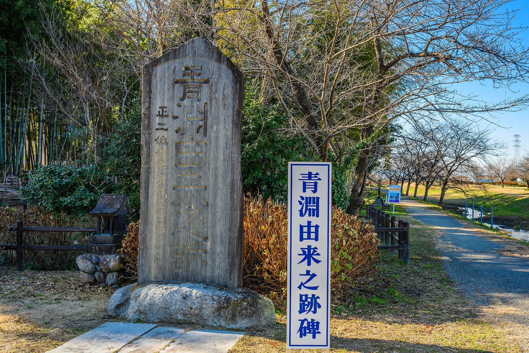 青淵公園のイルミネーション 【埼玉県深谷市】| フォトさいたま