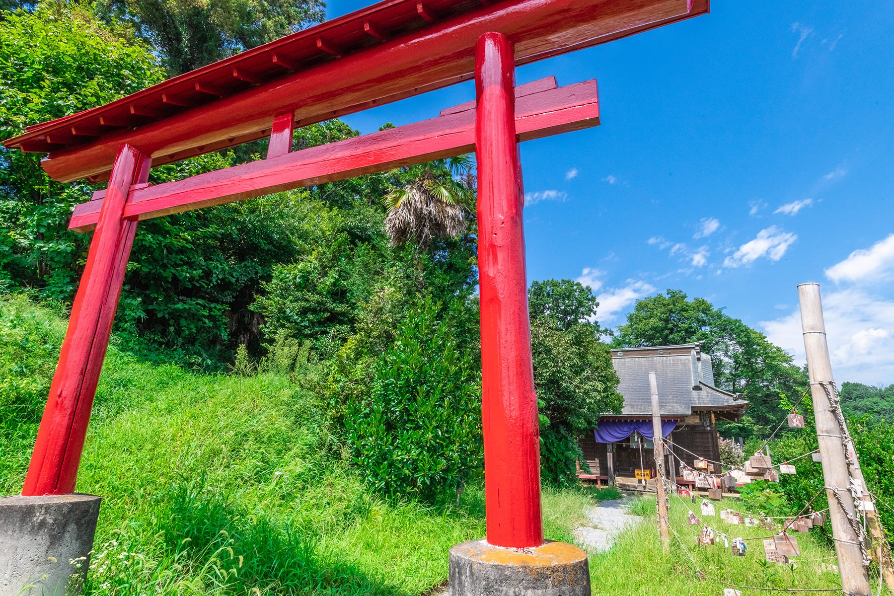 坂東札所 第１５番 【白岩山・長谷寺】 | フォトさいたま