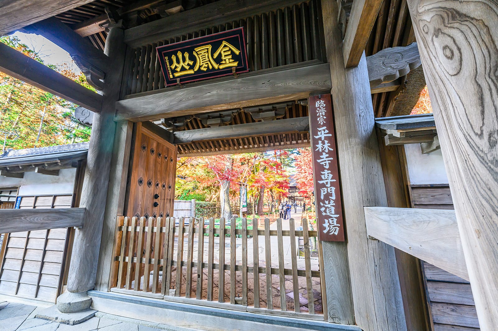 平林寺の紅葉【埼玉県新座市】 | フォトさいたま