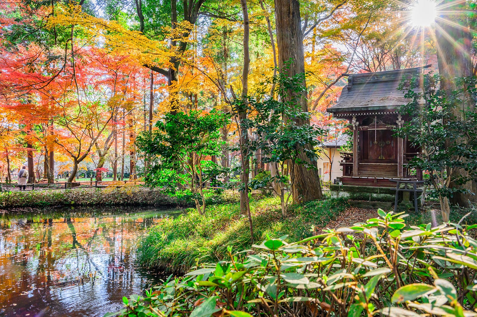 平林寺の紅葉【埼玉県新座市】 | フォトさいたま