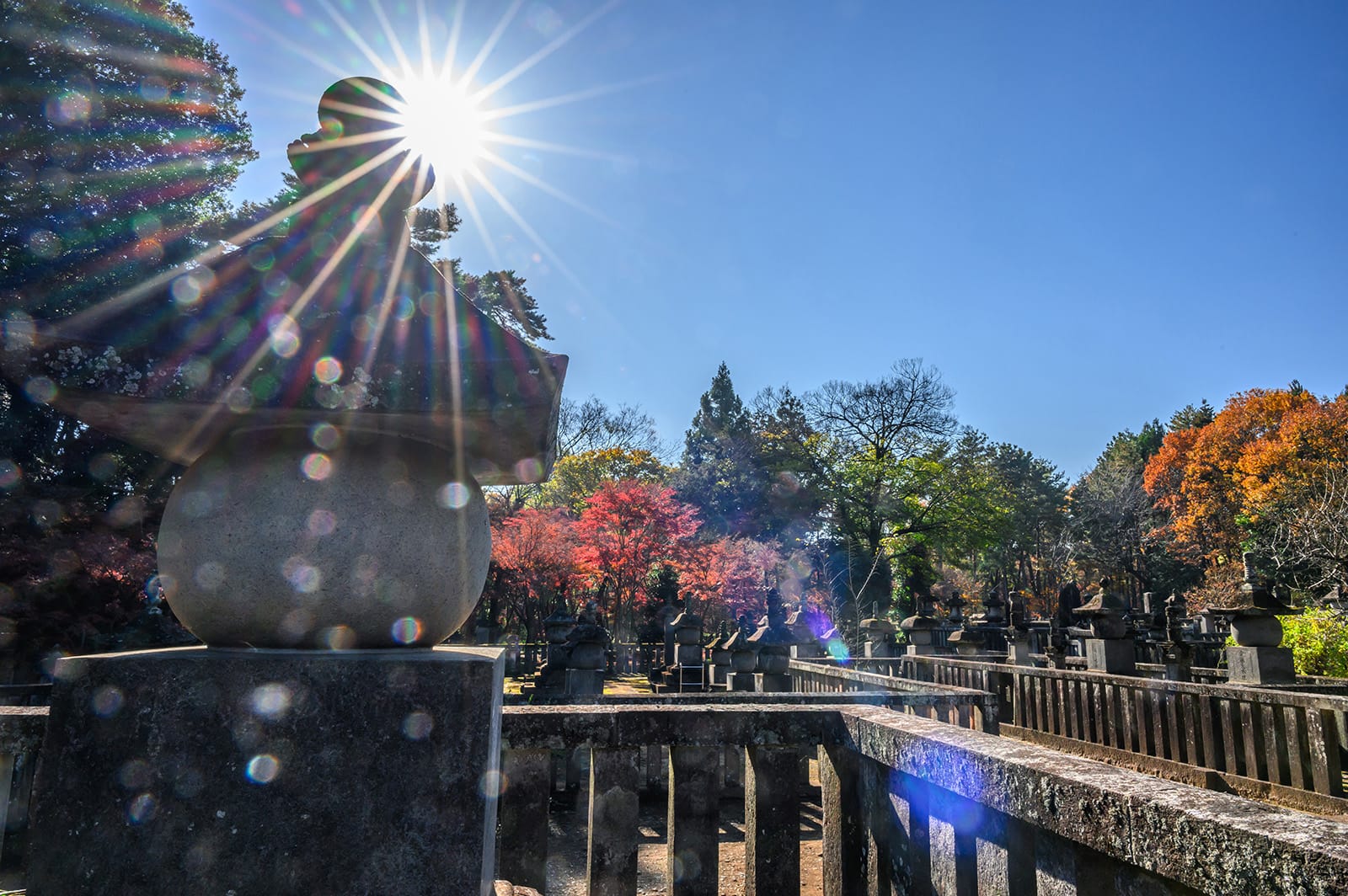 平林寺の紅葉【埼玉県新座市】 | フォトさいたま