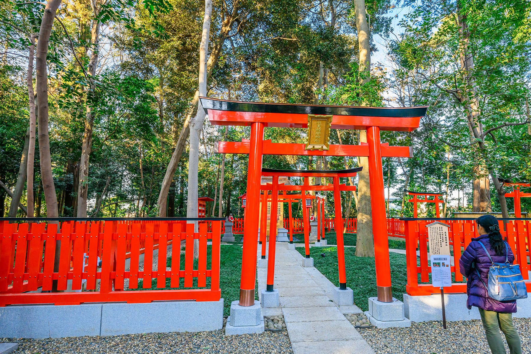 岩槻久伊豆神社節分祭 （さいたま市岩槻区）| フォトさいたま