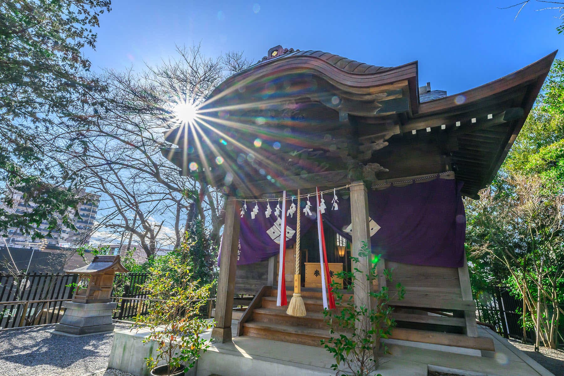 岩槻まちかど雛めぐり 【さいたま市岩槻区】| フォトさいたま