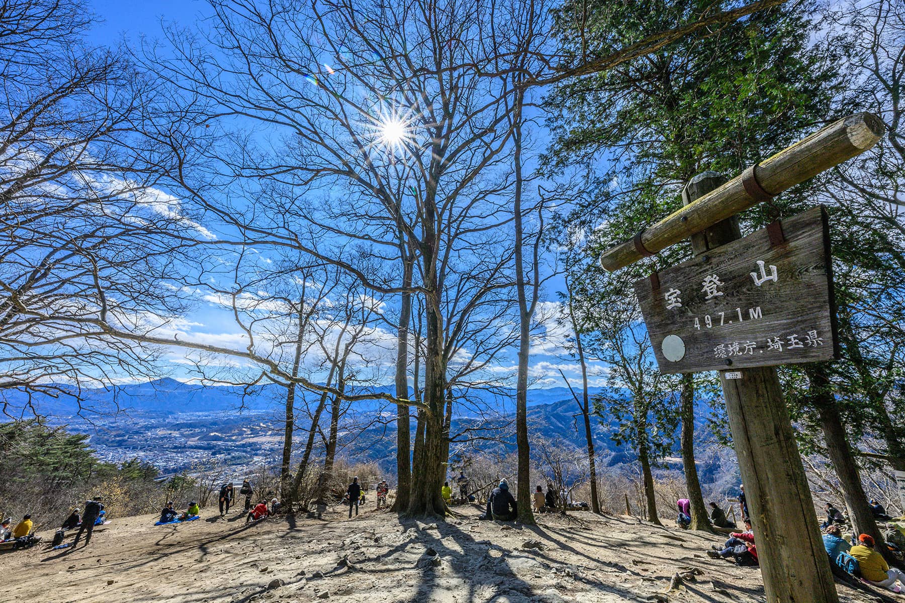 宝登山の臘梅(ロウバイ)園 【埼玉県秩父郡長瀞町】| フォトさいたま